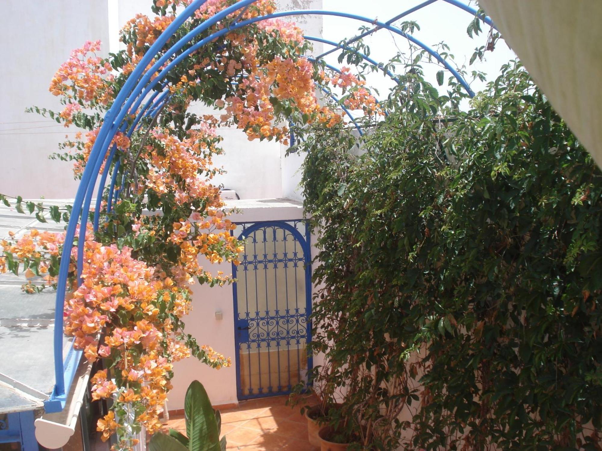 Riad Marlinea Salé Luaran gambar